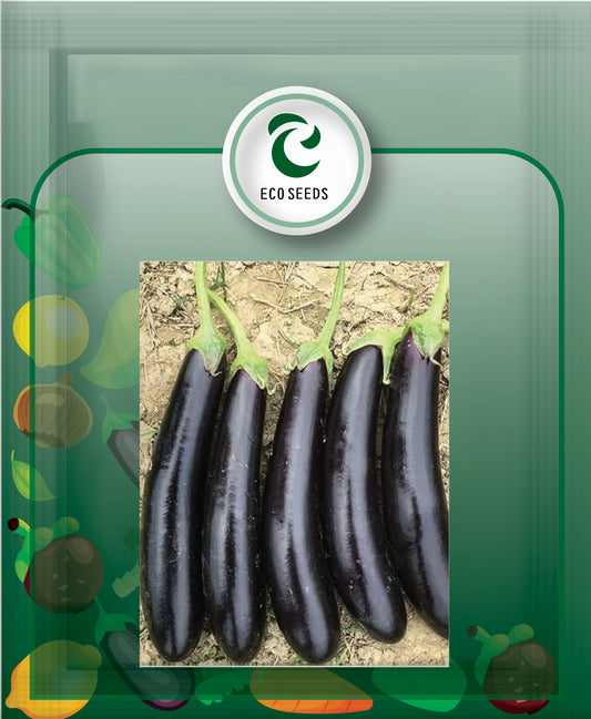 Brinjal Garden Seeds