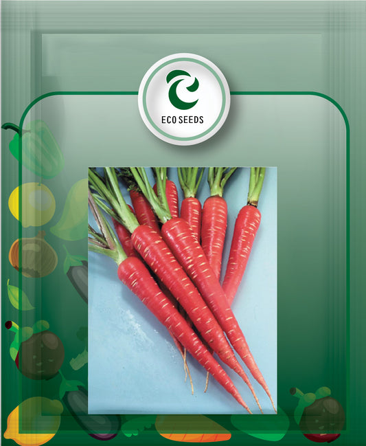 Carrot Garden Seeds