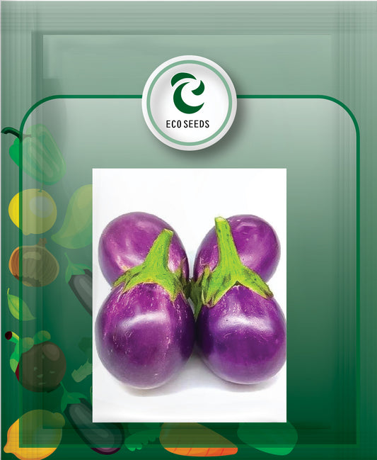 Brinjal Round Garden Seeds