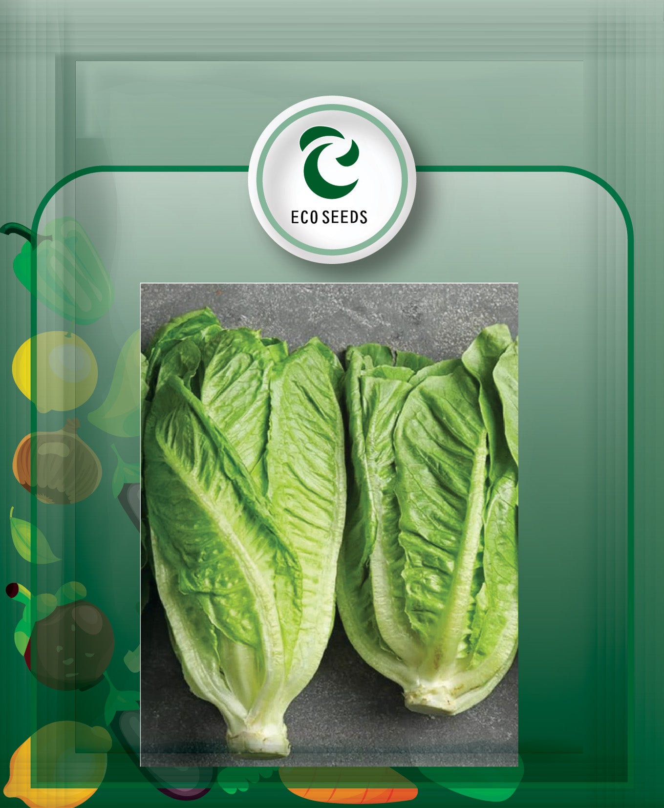 Lettuce Garden Seeds